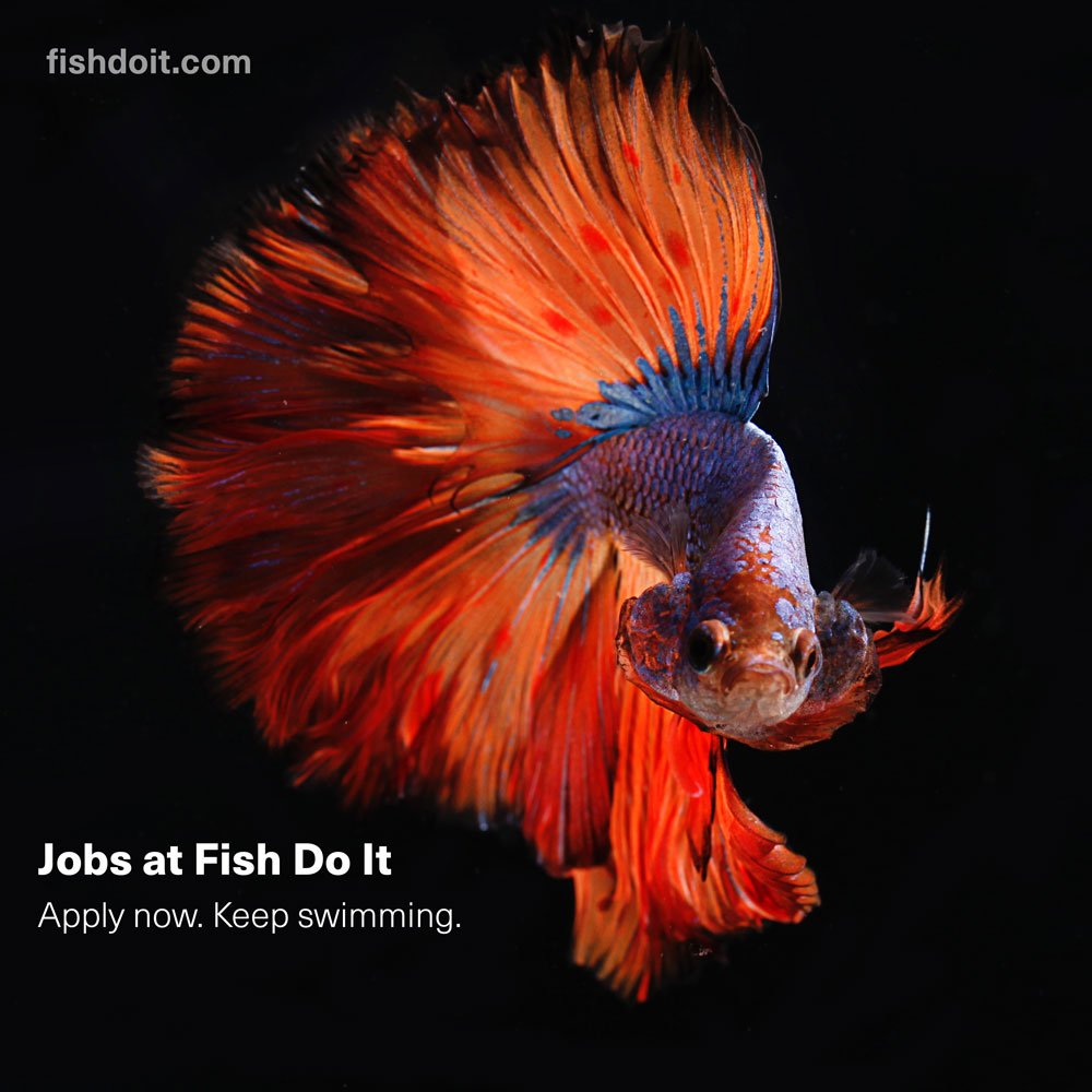 Job Openings at Fish Do It
